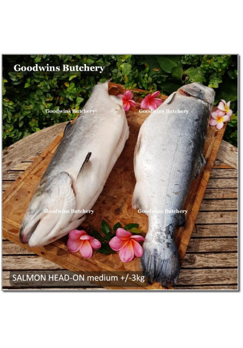 Salmon BONE-IN Atlantic Chile frozen LARGE SIZE whole fish head-on +/- 5 kg/pc length 27" 75cm (price/kg)